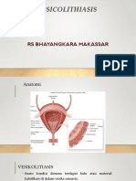 Mini Referat Vesicolithiasis