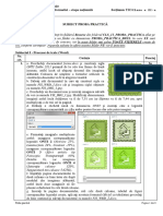 CLS - 11 - Subiect - Proba - Practica National PDF