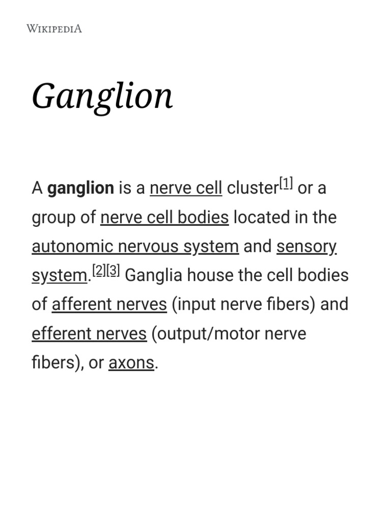 An Overview of Ganglia: Their Structure, Types, and Functions in the