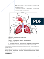 sistem respirator.doc