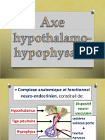 Axe Hypothalamo-Hypophysaire