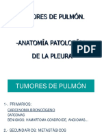 AP Cancer de Pulmón