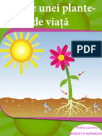 0_partile_unei_plante.pdf