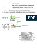 Cómo calcular condensador para motor trifásico en monofásico