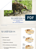 Mamíferos.pdf