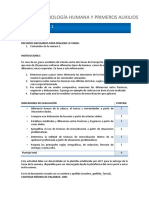 01 TareaA Anatomofisiologia Humana y Primeros Auxilios