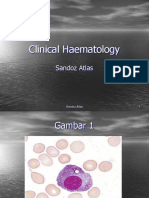 Atlas Hematologi - Sandoz Hariyadi