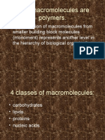 Most Macromolecules Are Polymers