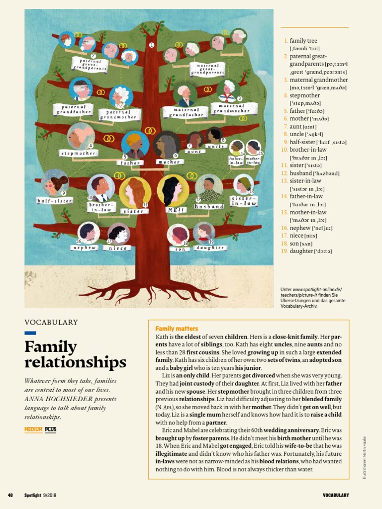 Family Relationships Vocabulary Guide | PDF | Stepfamily | Family