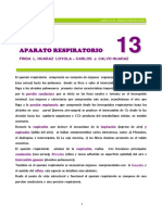aparato respiratorio cap 13.pdf