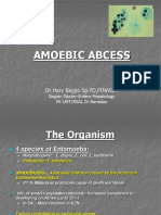 Amoebic Abcess: DR - Hary Bagijo SP - PD, FINASIM