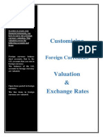 Foreign Currency Valuation