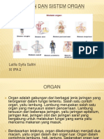 Biologi Organ Dan Sistem Organ Kelas XI