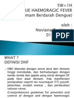 5W 1H Demam Berdarah Dengue