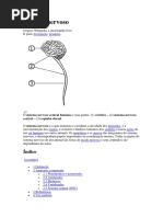 Sistema nervoso.docx