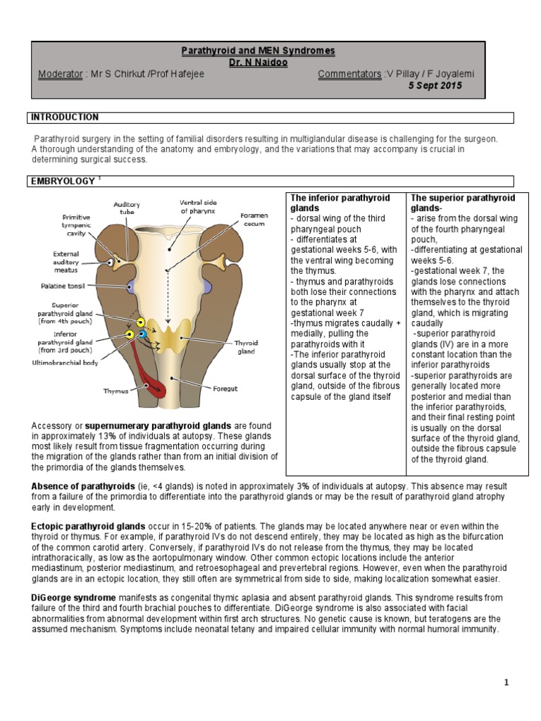 Parathyroid Gland Anatomy and Disorders | PDF | Parathyroid Gland ...