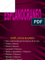 Nº4-El.esplagnocráneo.pdf
