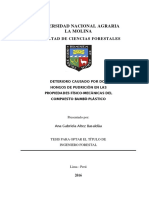 Deterioro Causado Por Dos Hongos de Pudrición en Las Propiedades Físico-mecánicas Del Compuesto Bambú-plástico