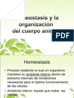 Homeostasis