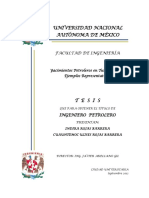 Yacimientos_Petro_Turbi.pdf