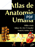 NETTER Atlas de Anatomie Umana Editia a Treia