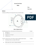 The Eye Saraswati Vidya Niketan Biology Name Form: Instructions: Answer All Questions. Time: 30 Min