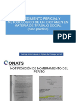 Funciones Del Perito, Derechos y Obligaciones