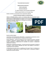 Consultora Deforestacion