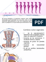 Cambios en El Embarazo