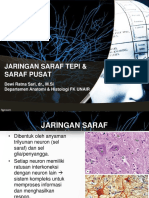 Jaringan Saraf Tepi & Saraf Pusat: Dewi Ratna Sari, DR., M.Si Departemen Anatomi & Histologi FK UNAIR