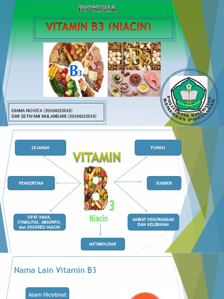 Vitamin b3 PDF