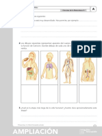 299745068-03-ampliacion-naturales-3ºprimaria.pdf