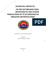 Evaluación Del Proyecto: "Estudio de Pre-Factibilidad para La Implementación de Una Planta Productora de Té de Orégano en Arequipa Metropolitana"