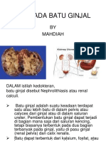 Diit Pada Batu Ginjal