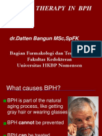 Drugs Therapy in BPH: DR - Datten Bangun MSC, SPFK