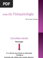 Aula 1 e 2.pdf