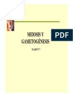 7meiosis y gametogenesis.pdf