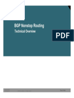 BGP Nonstop Routing