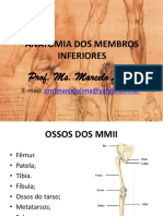 1. AULA DE ANATOMIA DOS MEMBROS INFERIORES.2016.pdf