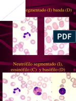 Imagenes de Hematologia799.pdf