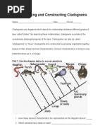 Interpreting and Constructing Cladograms Lab