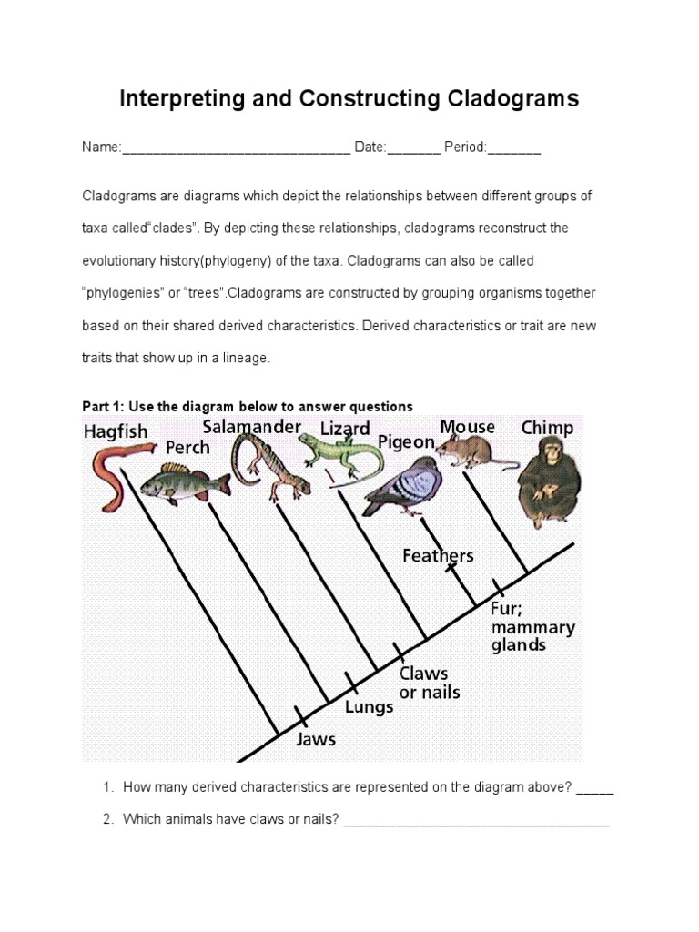 interpreting and constructing cladograms lab | Phylogenetic Tree