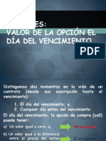 Opciones Valor Al Vencimiento