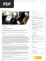 Paciência – Schoenstatt.org.pdf