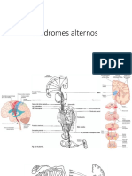 Síndromes alternos.pptx