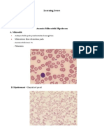 Anemia Mikrositik Hipokrom