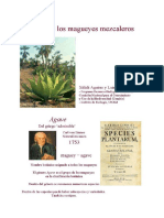 4 VIDA MAGUEYES MEZCALEROS.pdf