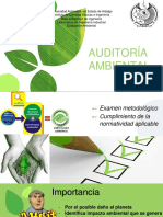 Auditoría Ambiental