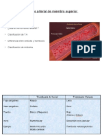 Trombosis Arterial en Miembro Superior