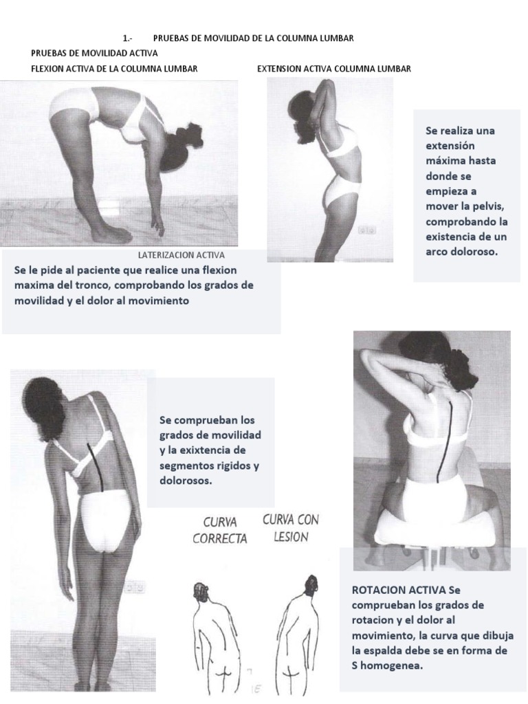 Pruebas de Movilidad de La Columna Lumbar | PDF | Mano | La columna ...